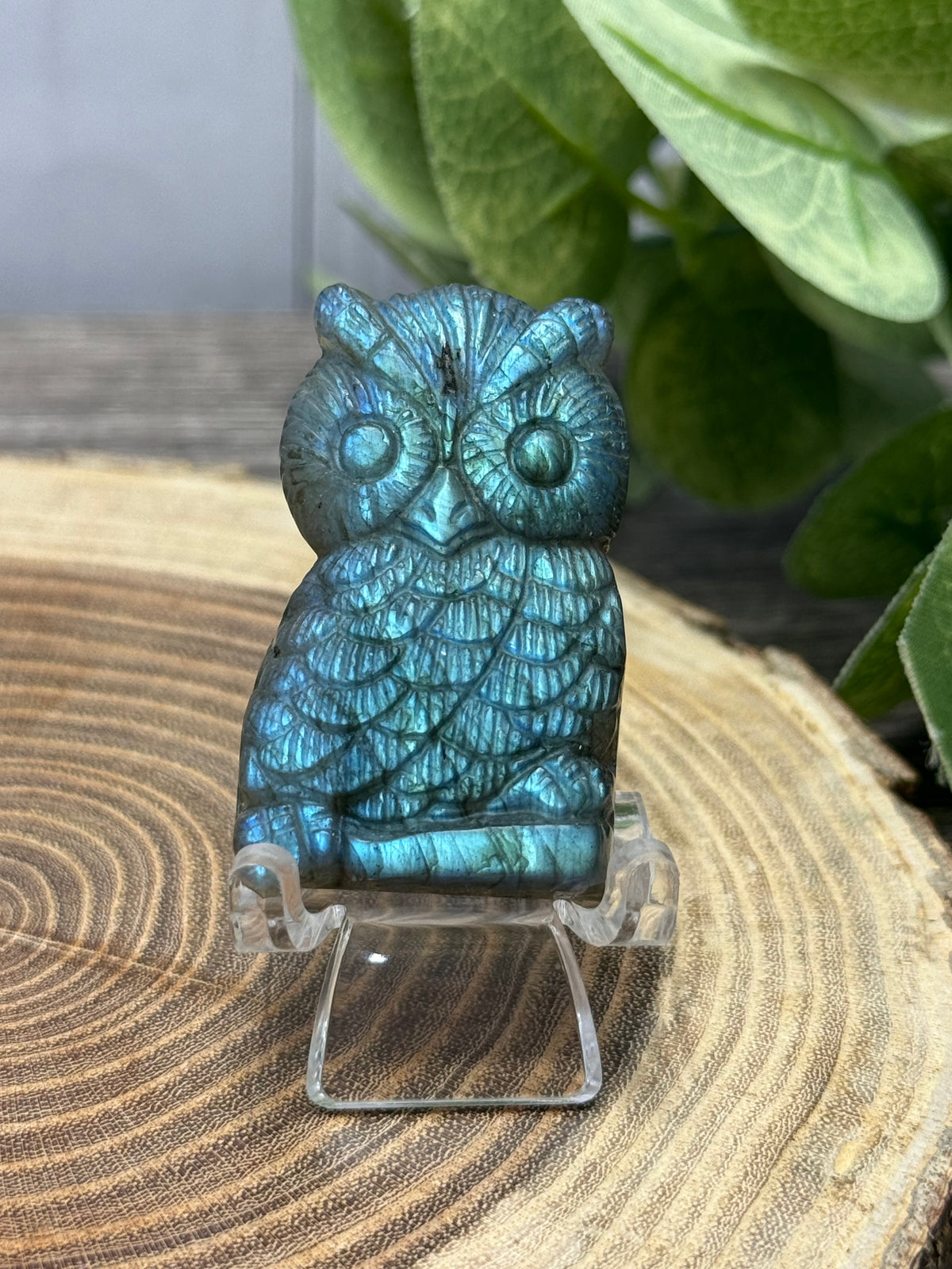 Owl - Labradorite Carvings