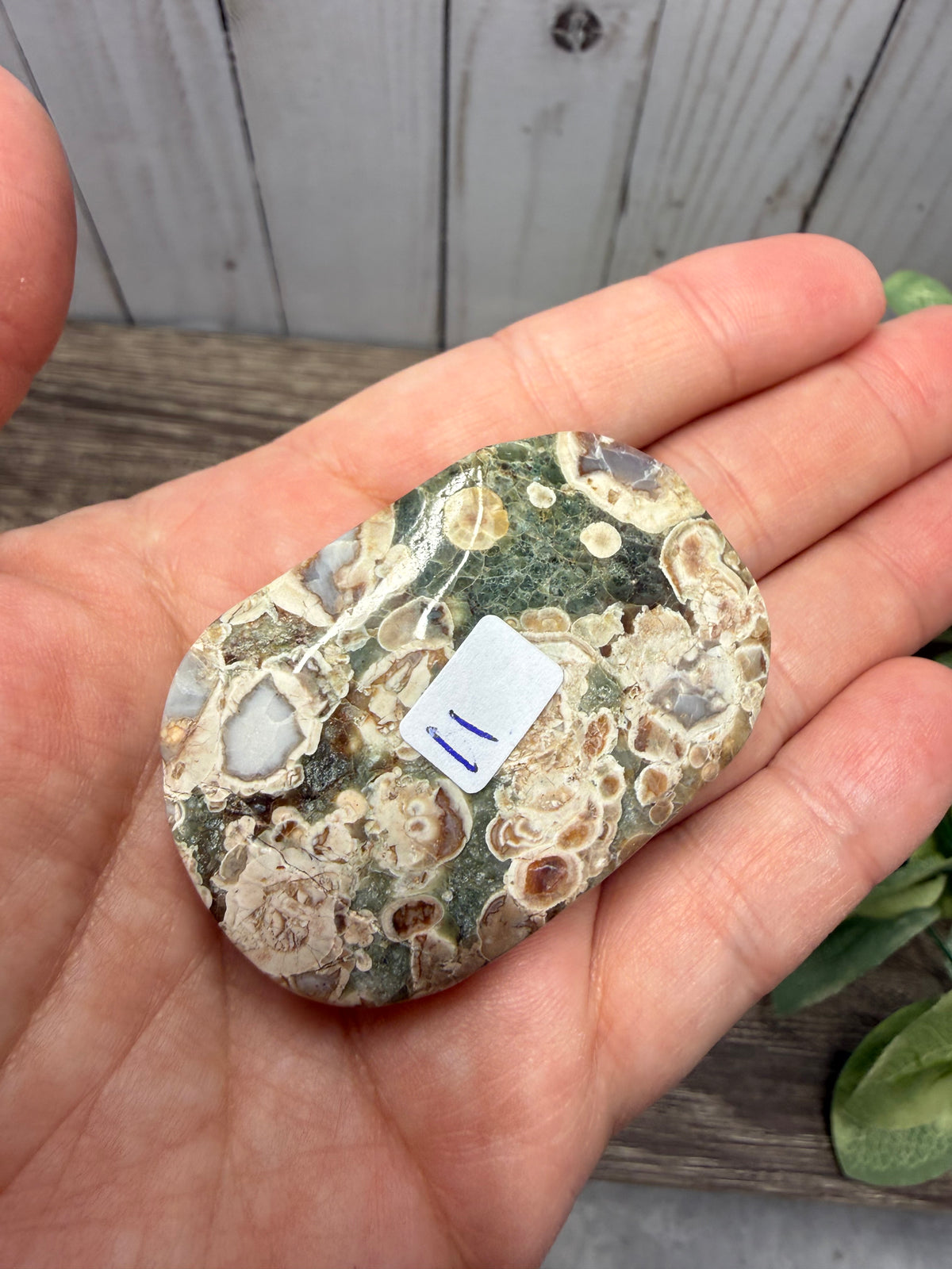 Russian Flower Agate Palm Stones