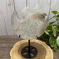 Nine Tailed Fox Carvings on Stand