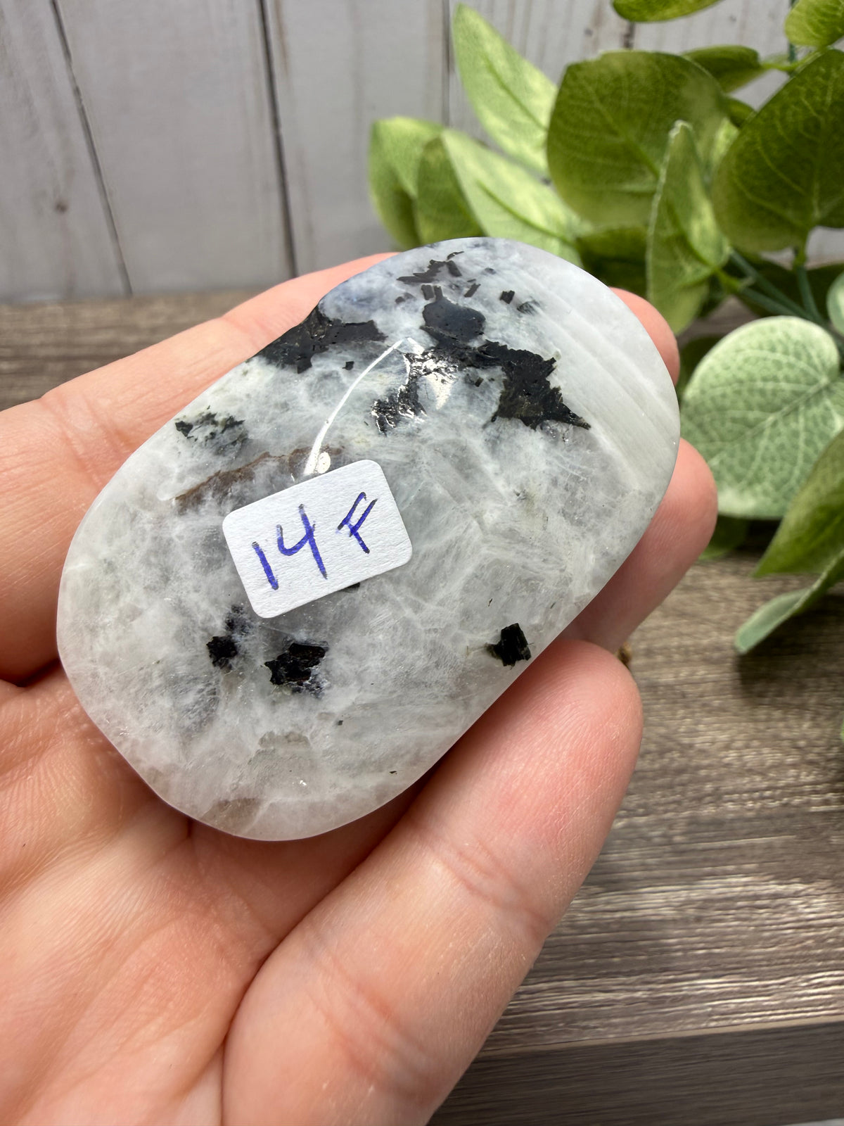 Rainbow Moonstone Palm Stone