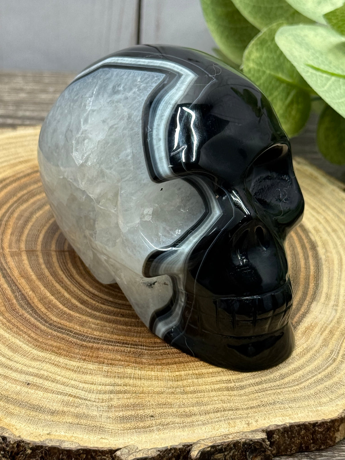 Black Agate Skulls