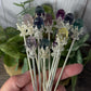 Fluorite Rose Hair Pins