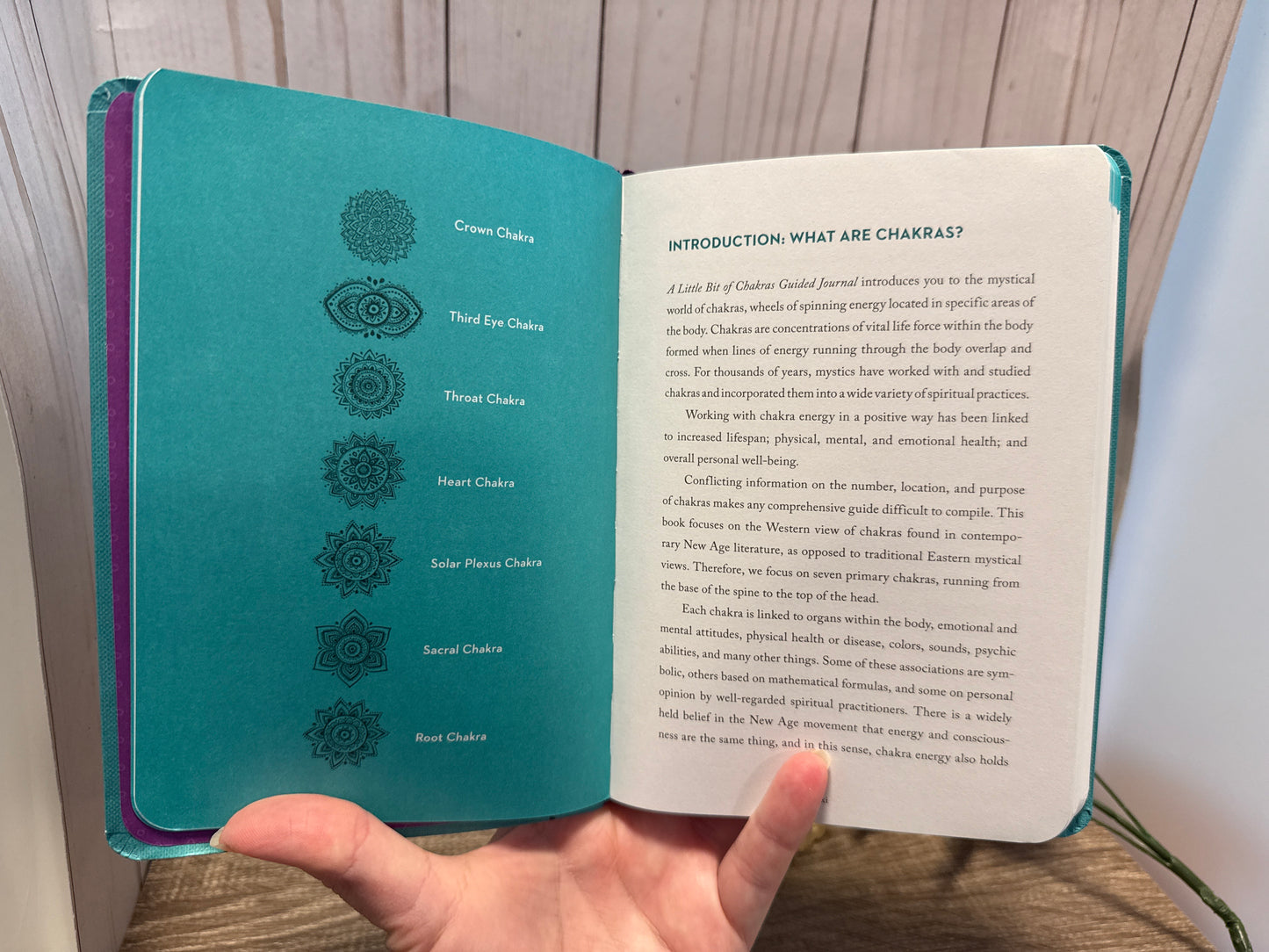 Guided Journal  A Little Bit of Chakras: Your Personal Path to Energy Healing