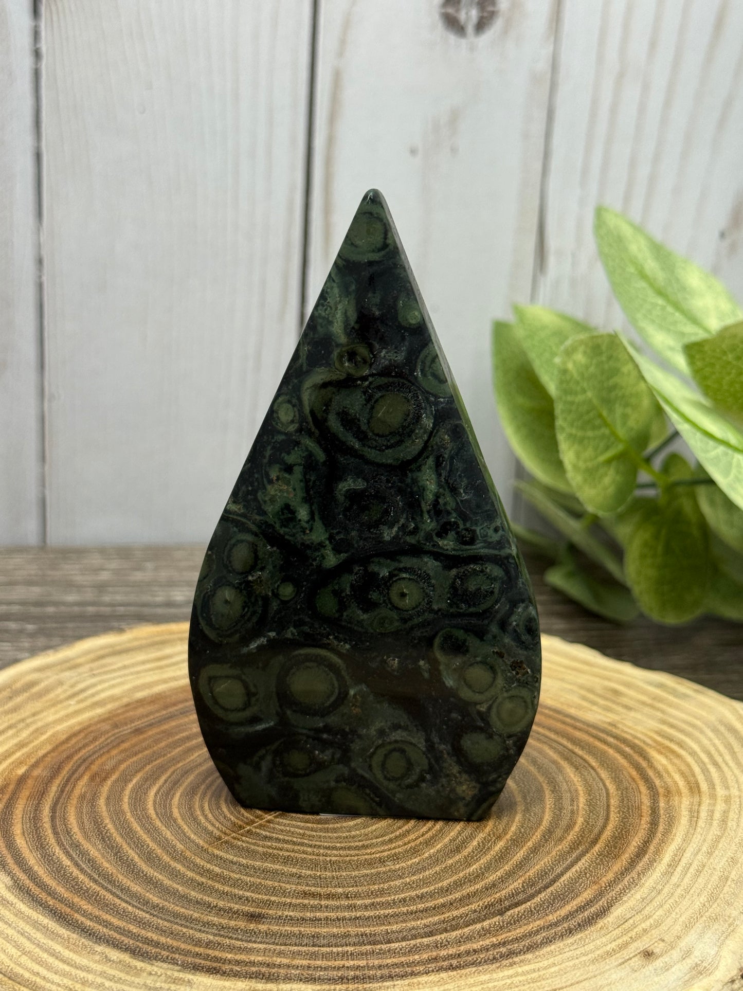 Kambaba Jasper Freeforms