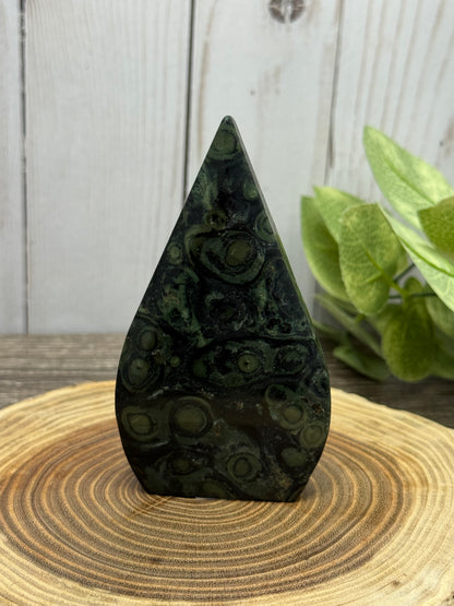 Kambaba Jasper Freeforms