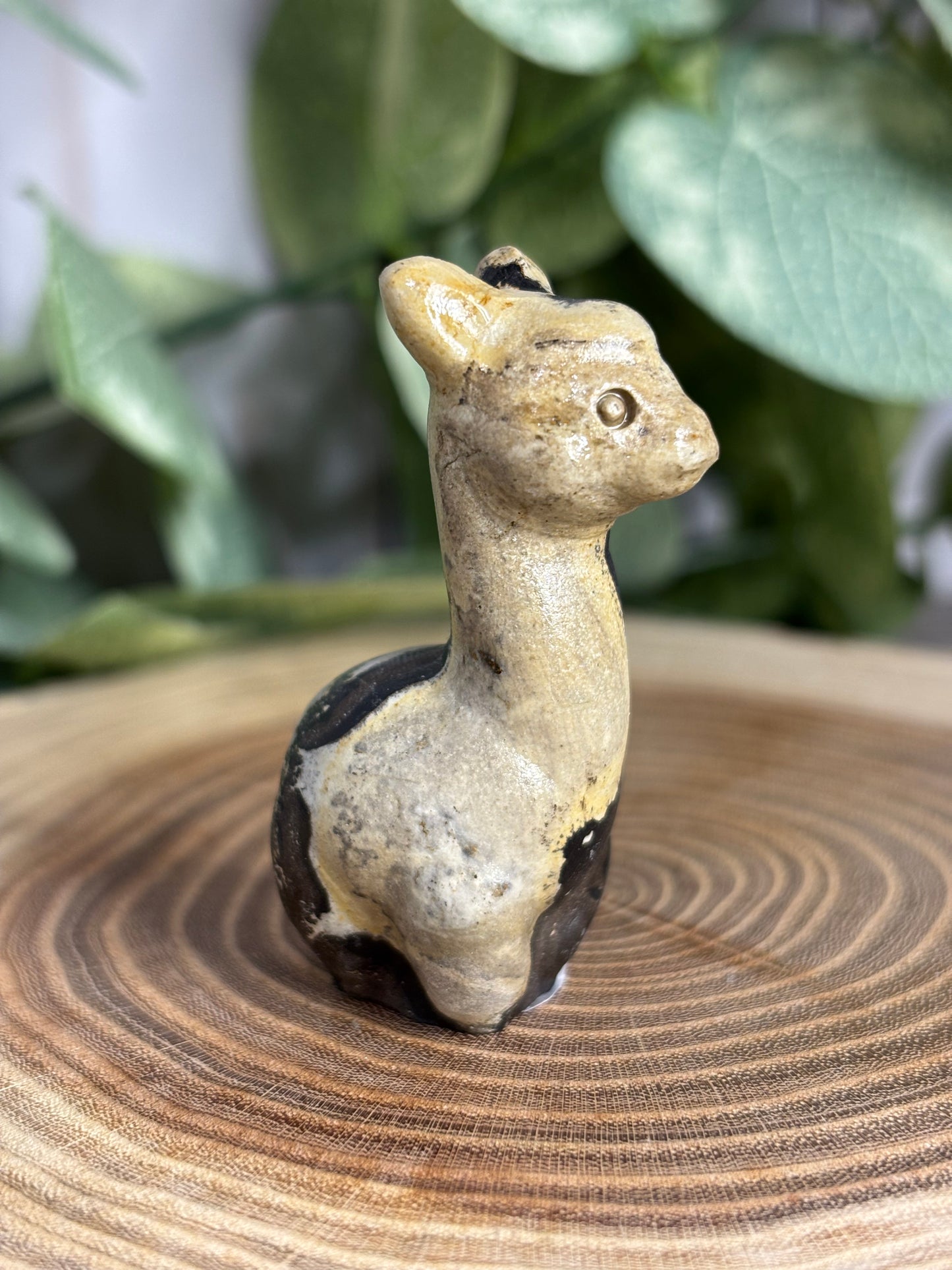 Llama Crystal Carving - Picture Jasper