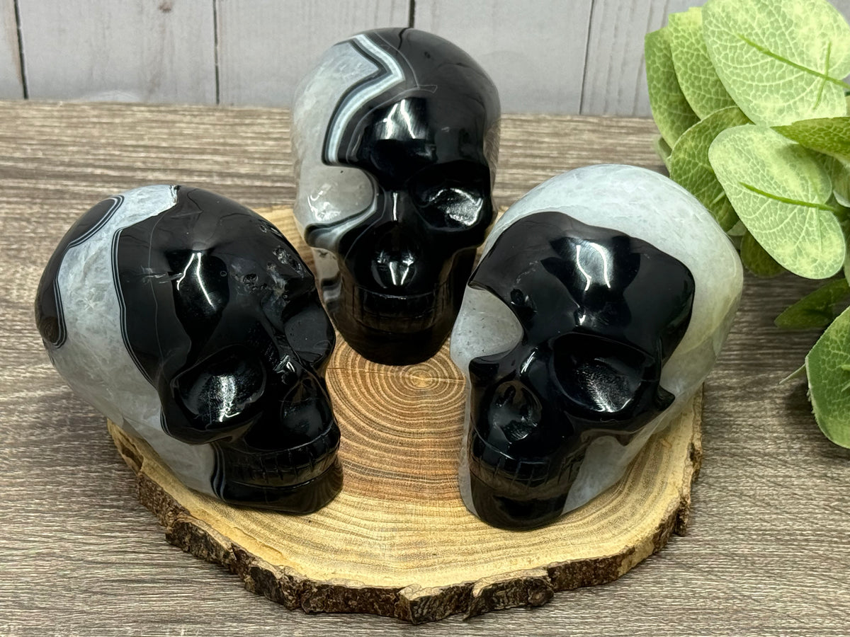 Black Agate Skulls