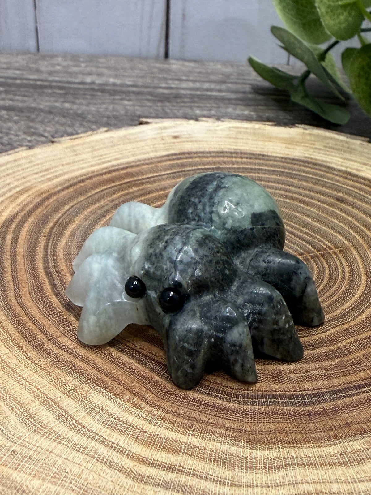 Spider Carving