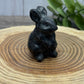 Rabbit Carvings