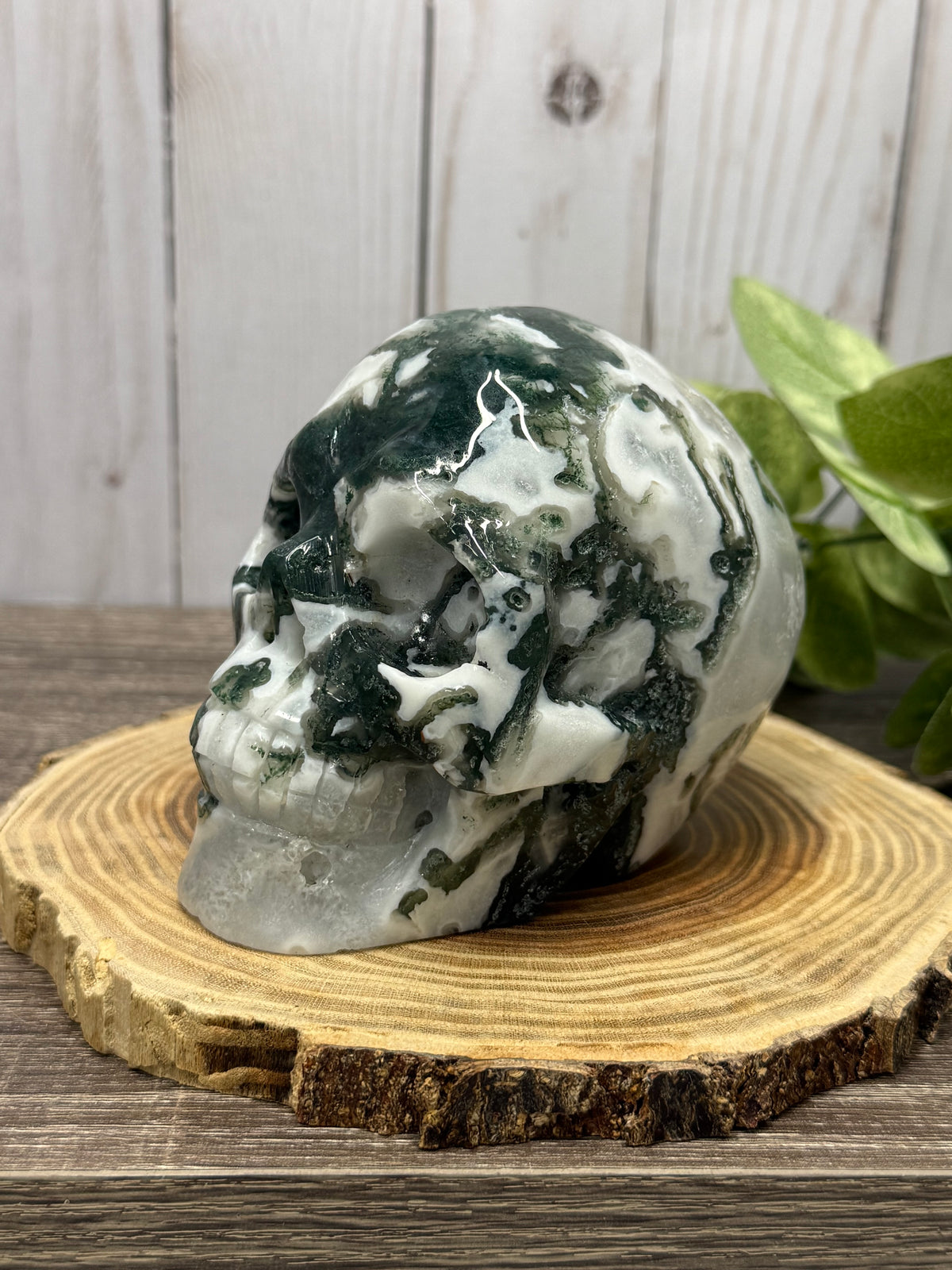 Large Moss Agate Skull