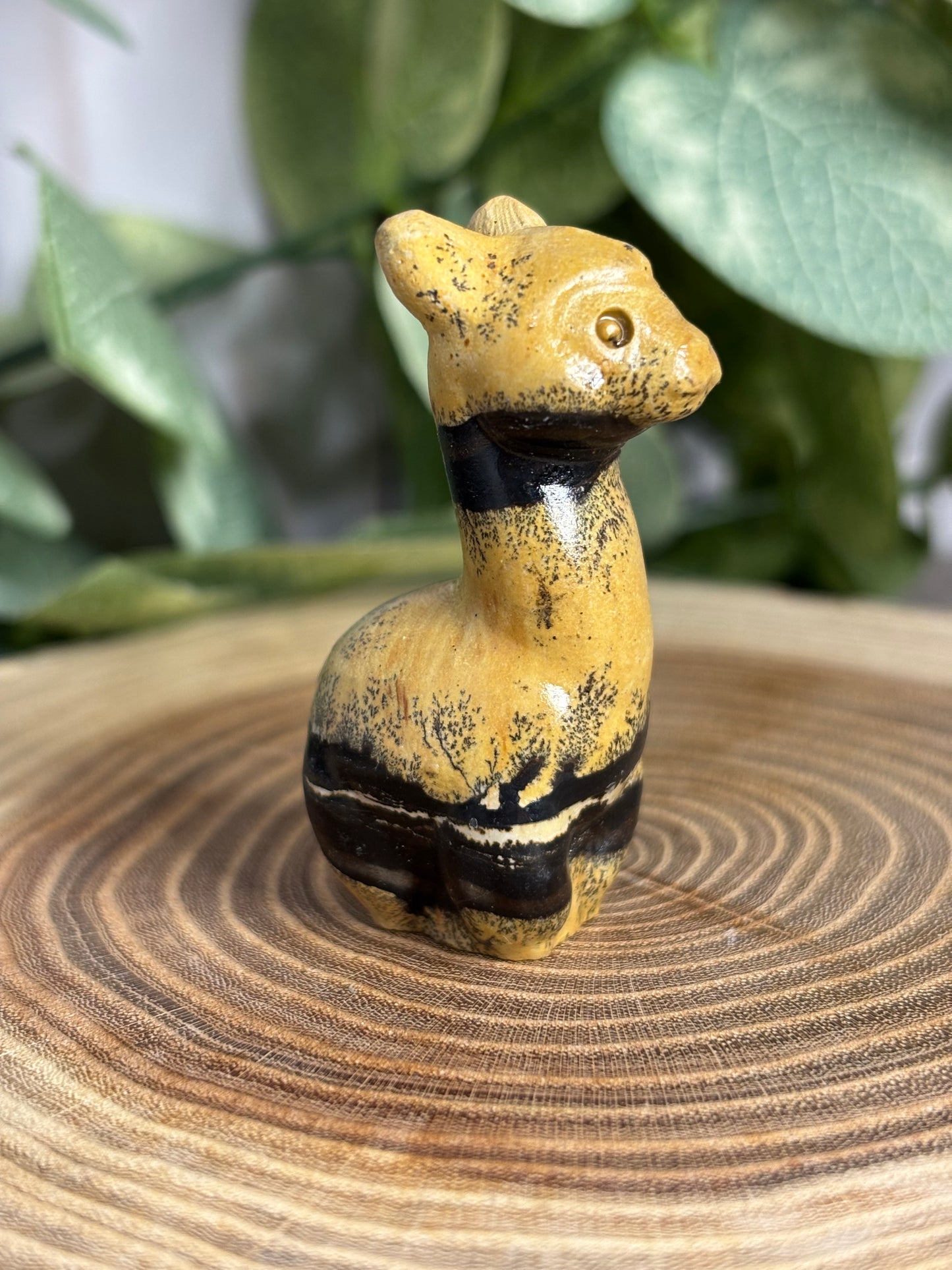 Llama Crystal Carving - Picture Jasper