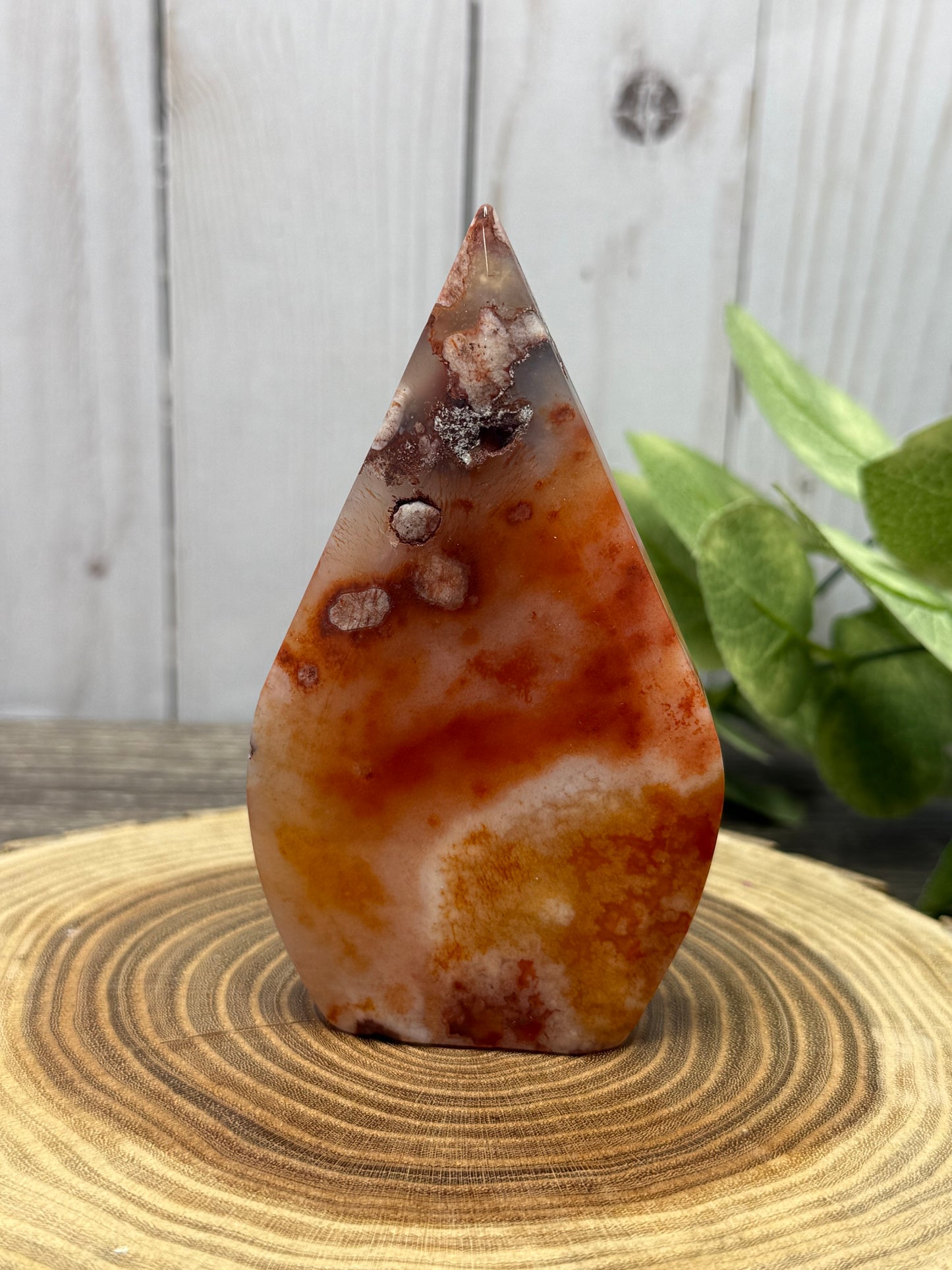 Carnelian and Flower Agate Freeforms