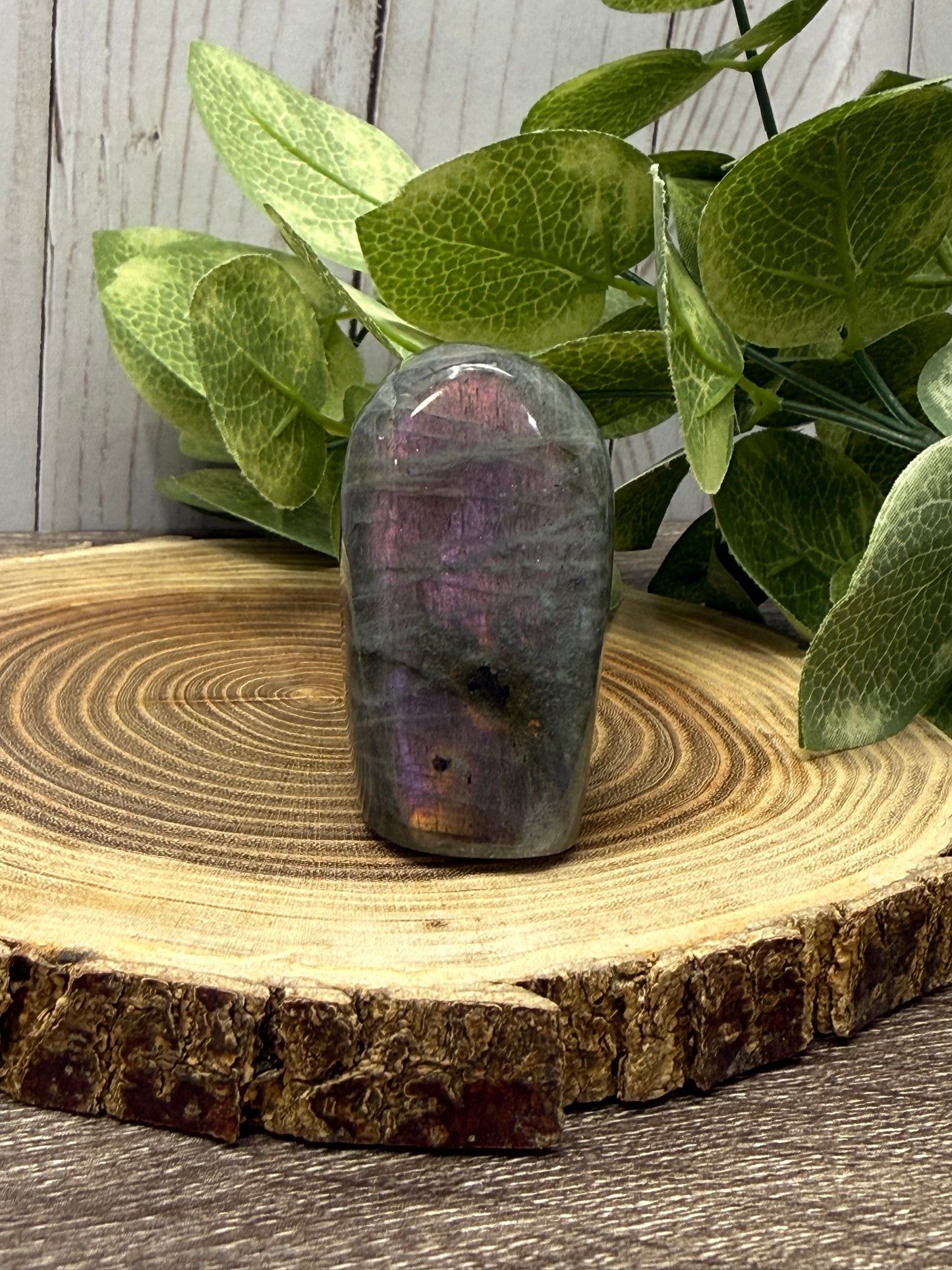Labradorite Freeforms