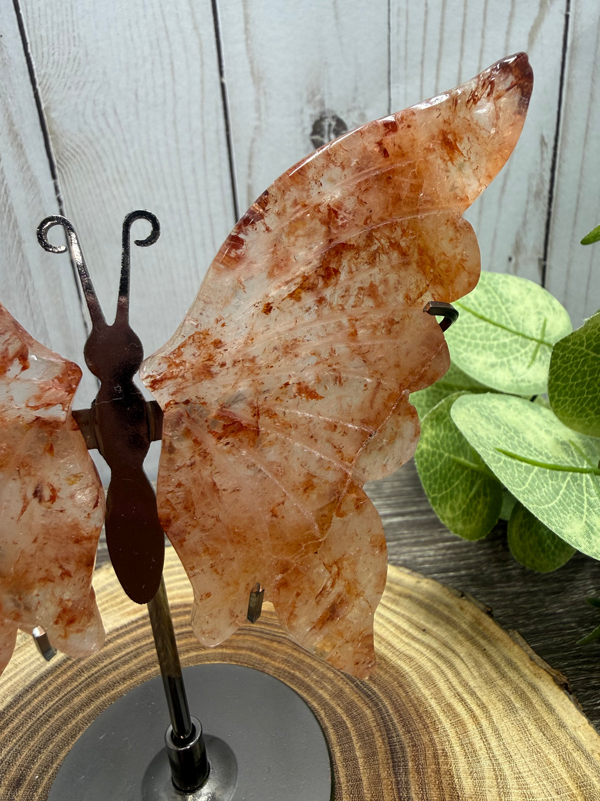 Butterfly Wings on Stand - Fire Quartz