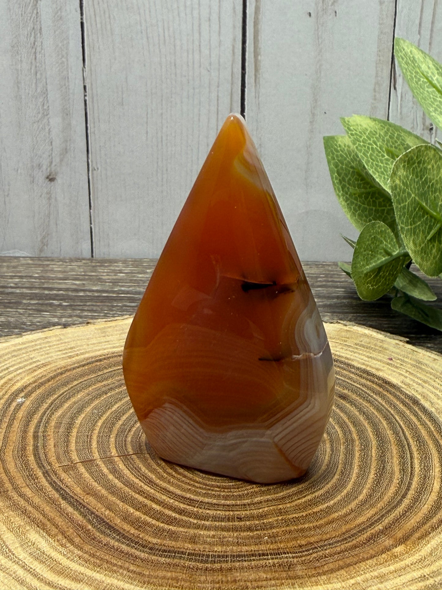 Carnelian Freeforms