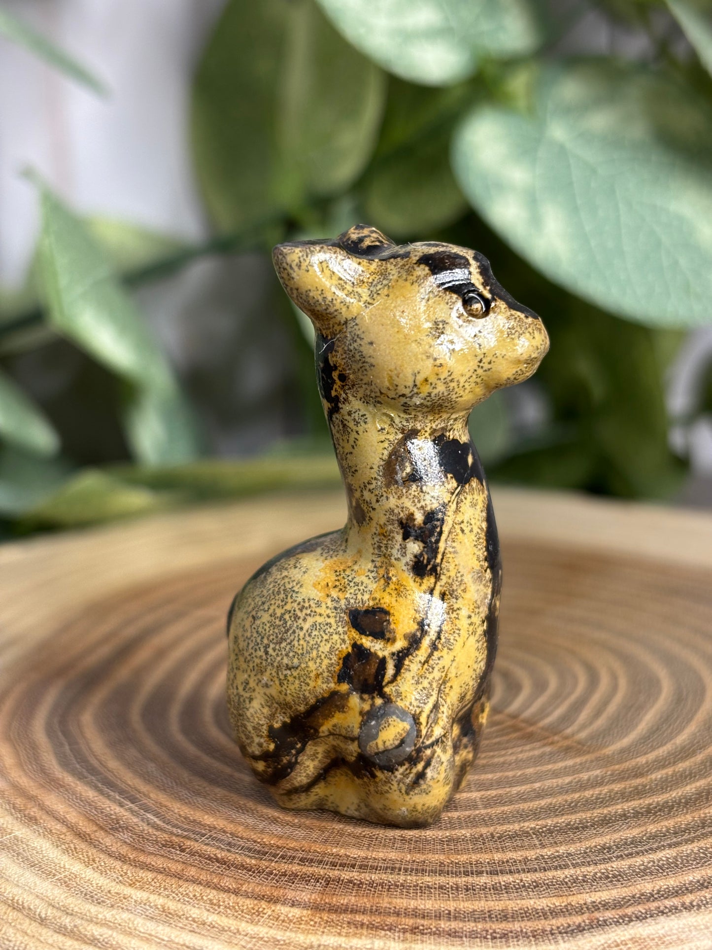 Llama Crystal Carving - Picture Jasper