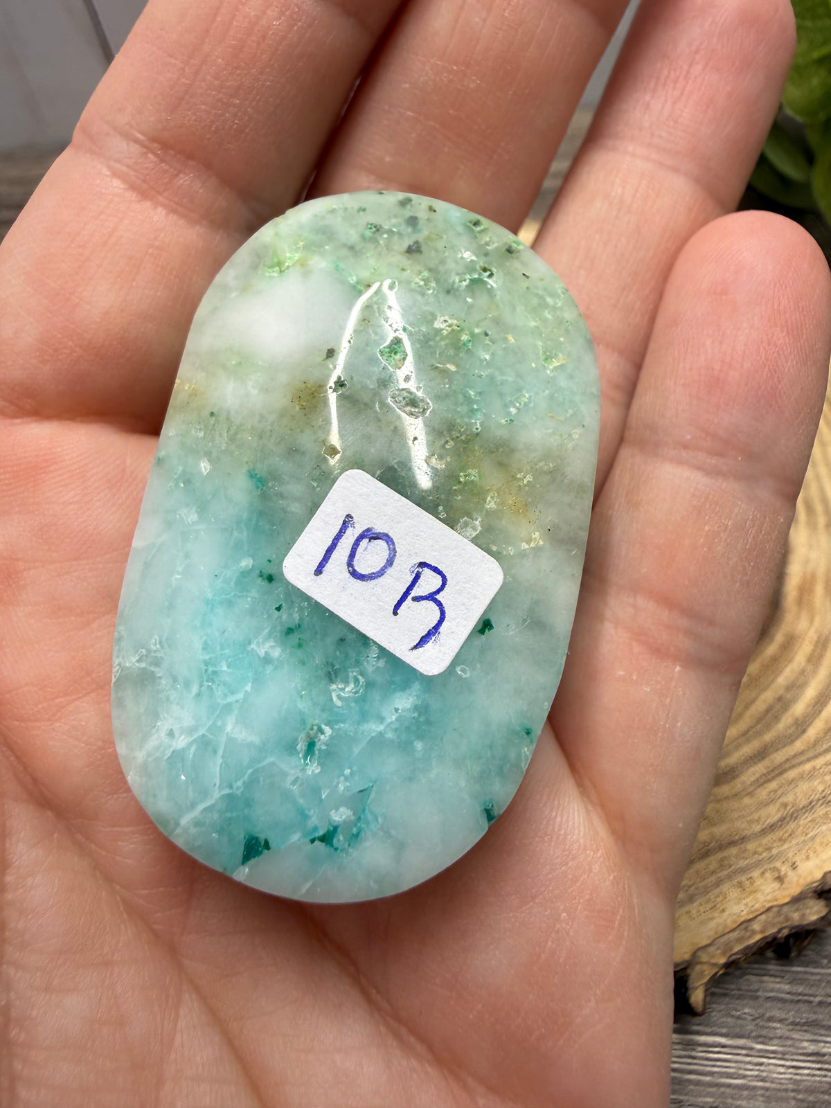 Phoenix Stone Palm Stones