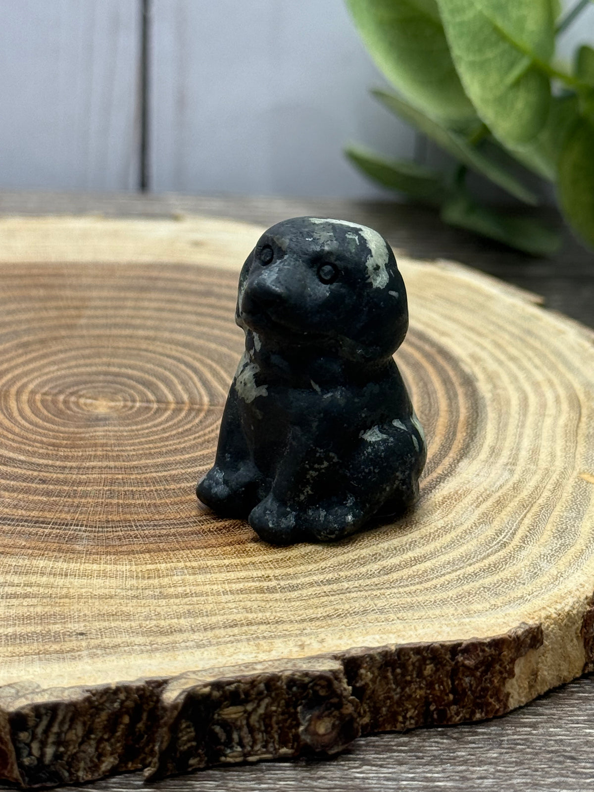 Dog Carvings