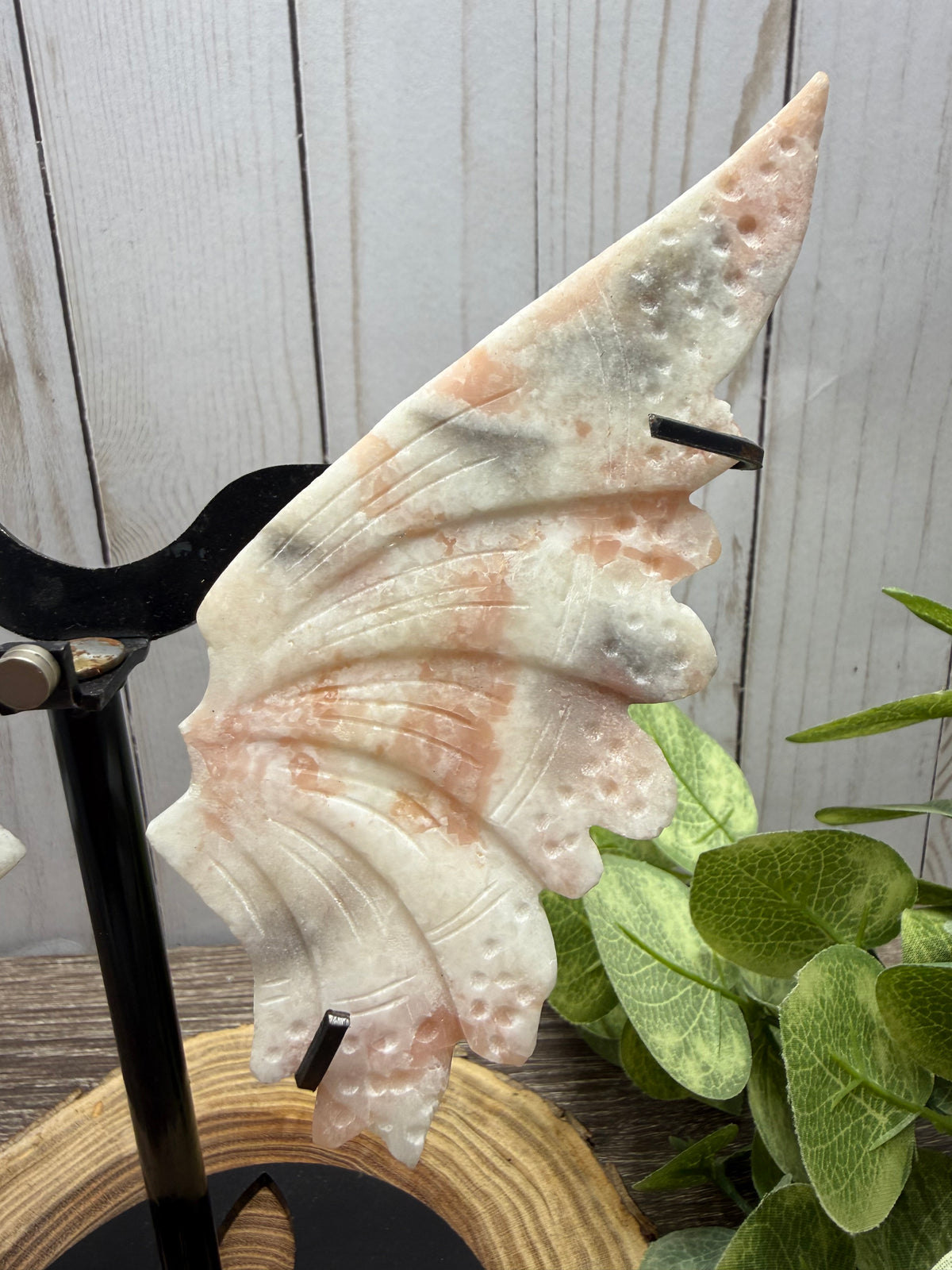 Large Butterfly Wings on Stand - Pink Opal (Discounted)