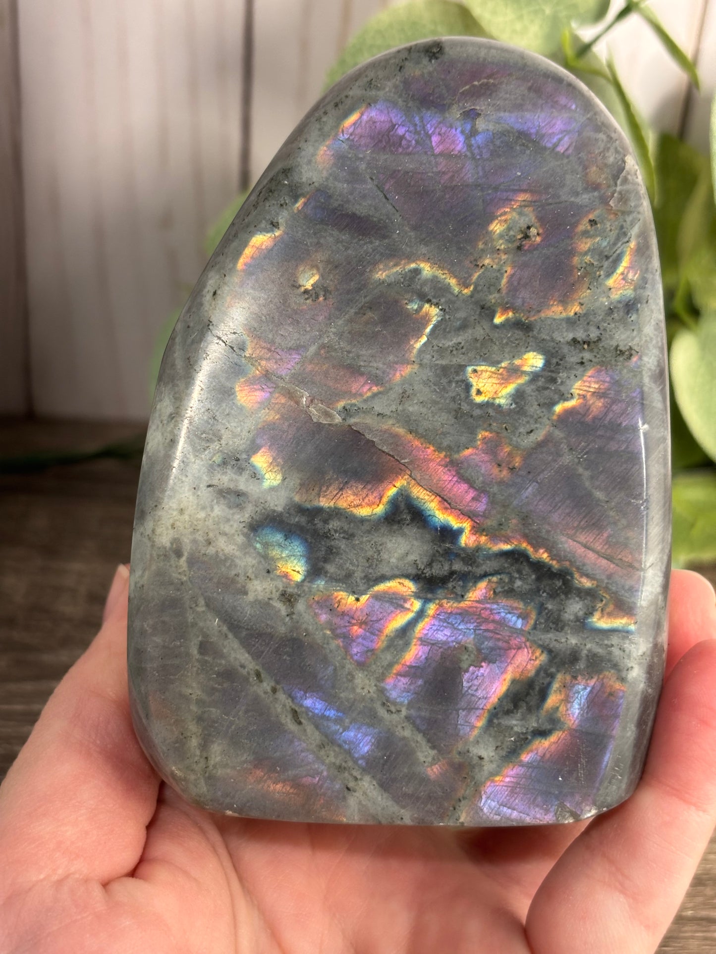 Labradorite Free Forms