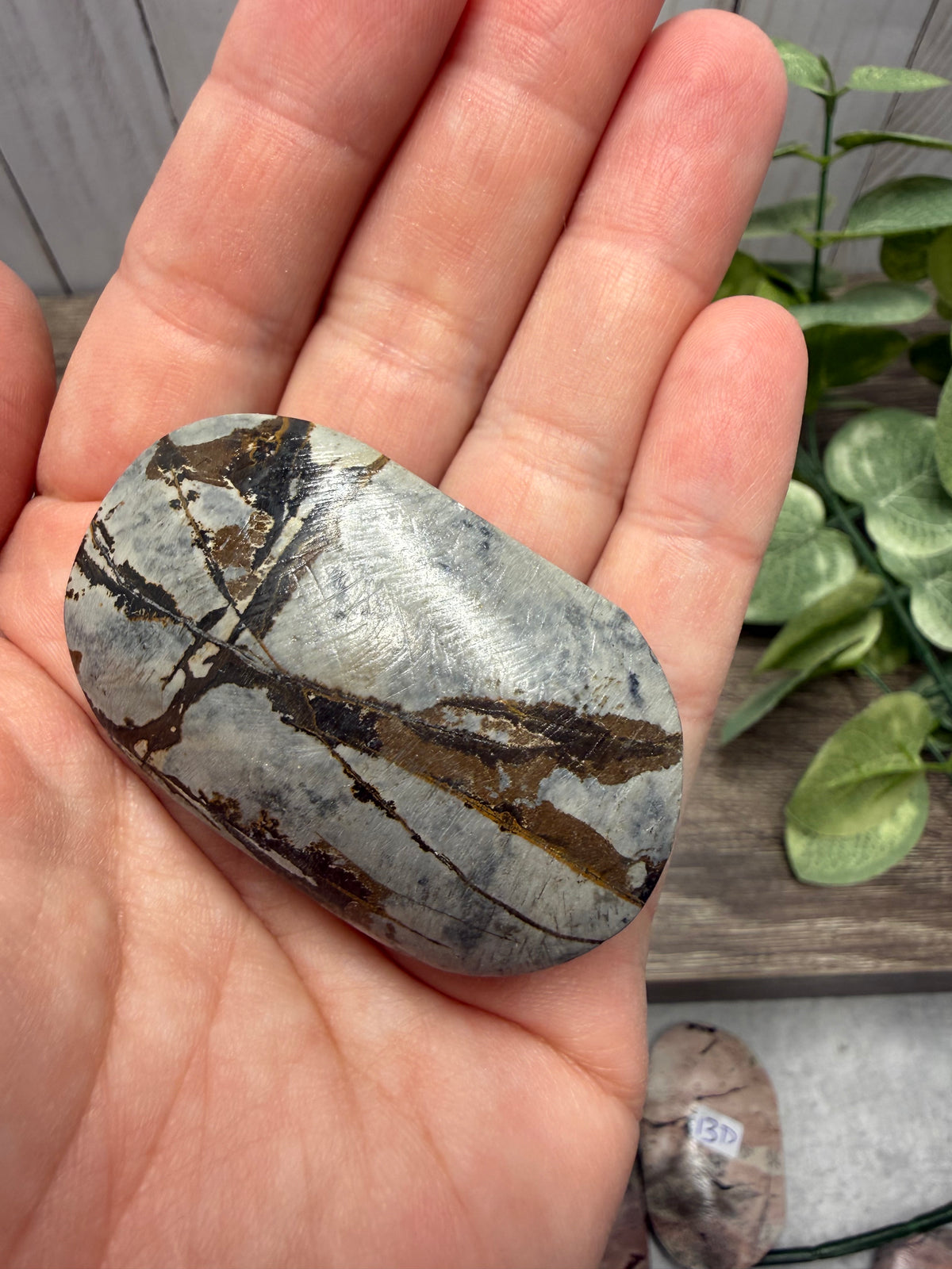 Picture Jasper Palm Stones