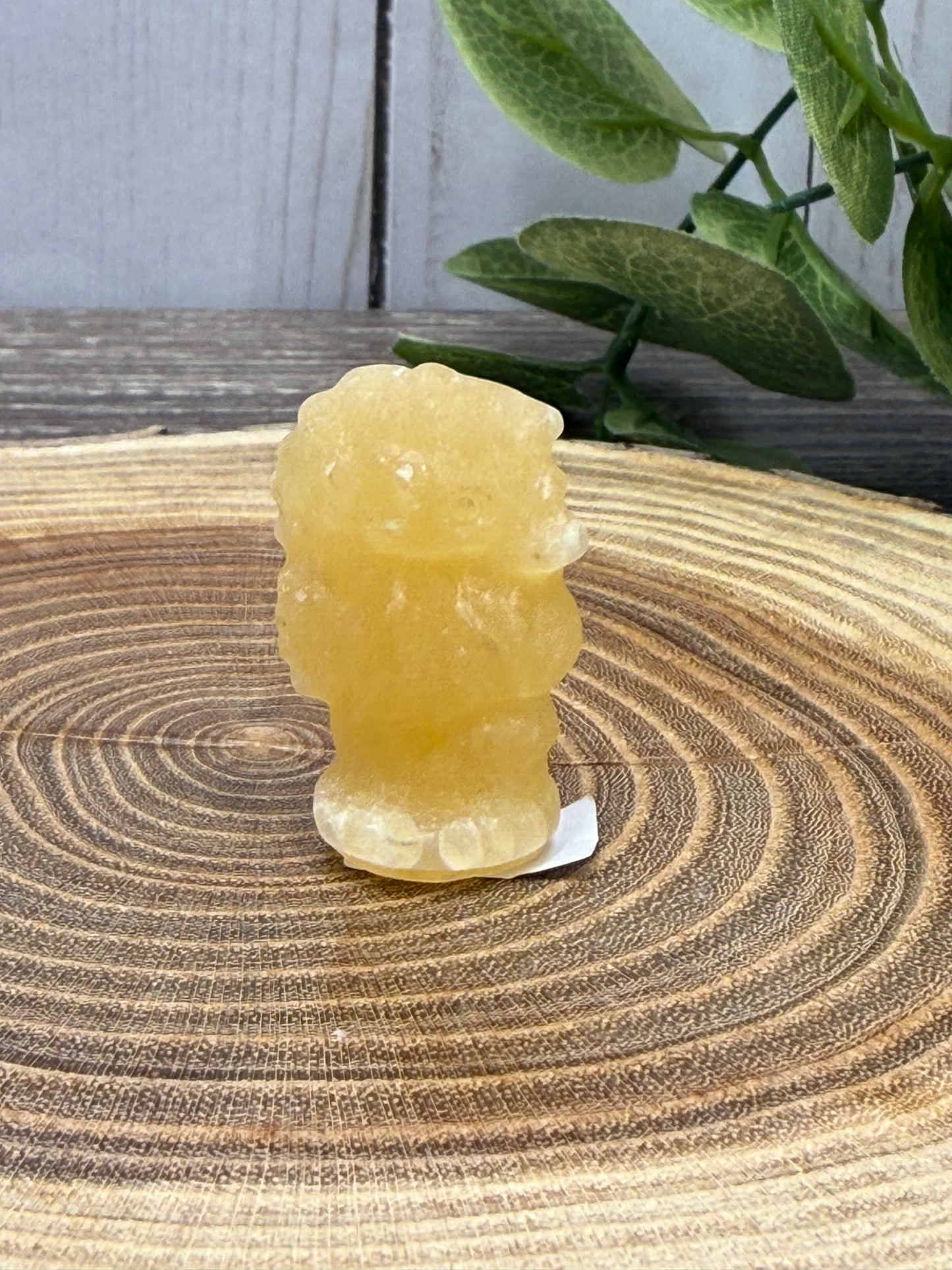 Sea Horse Crystal Carvings - Small