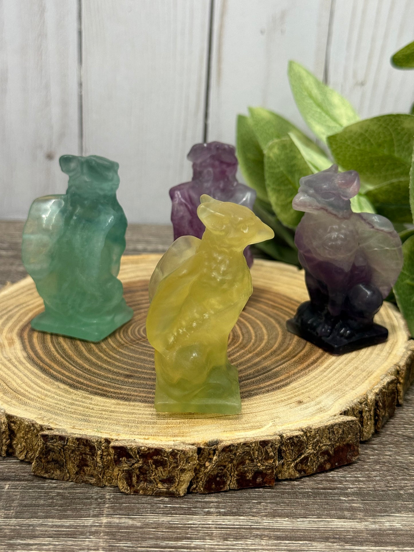 Griffin Flourtite Carving