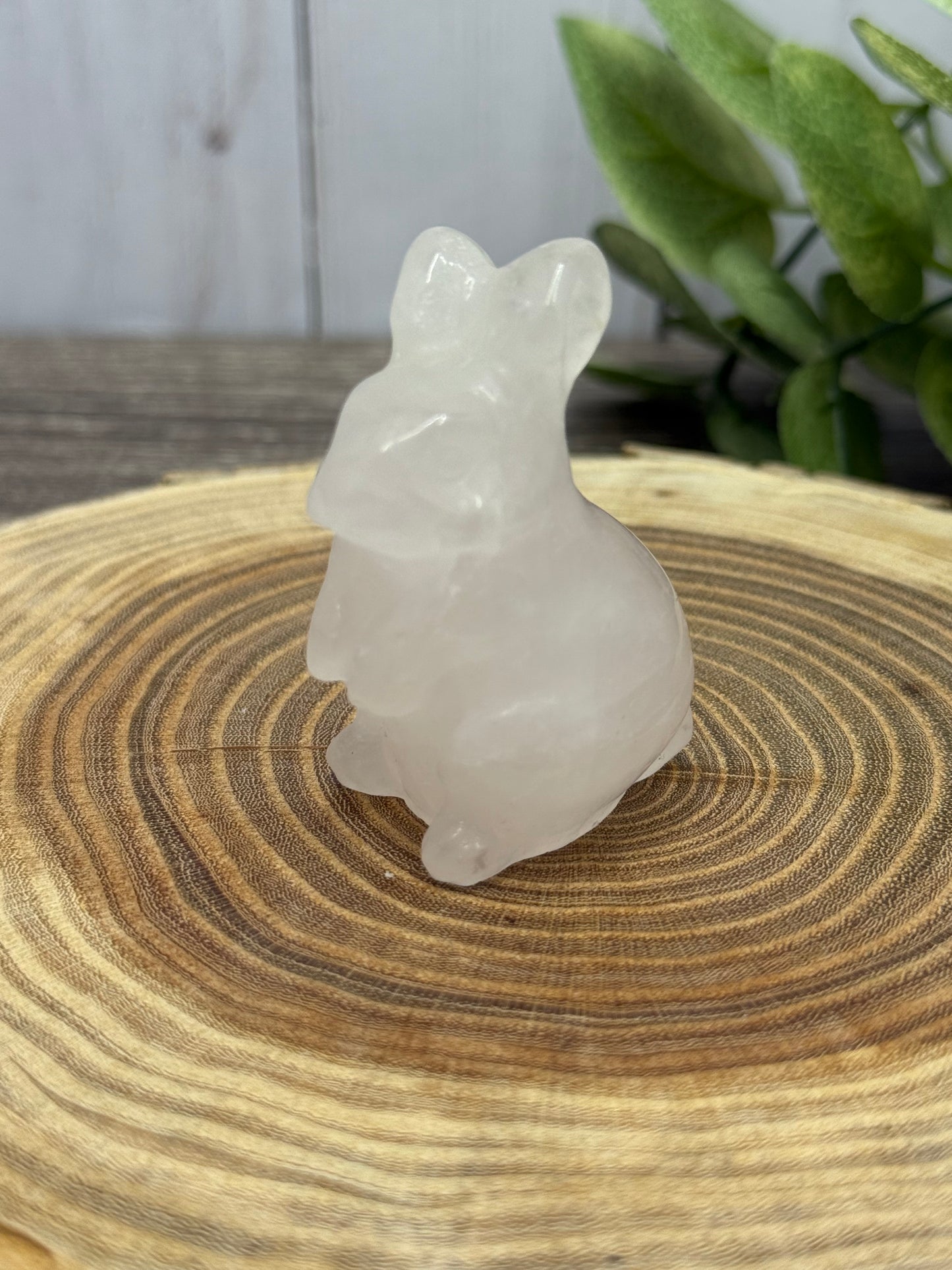 Rabbit Carvings