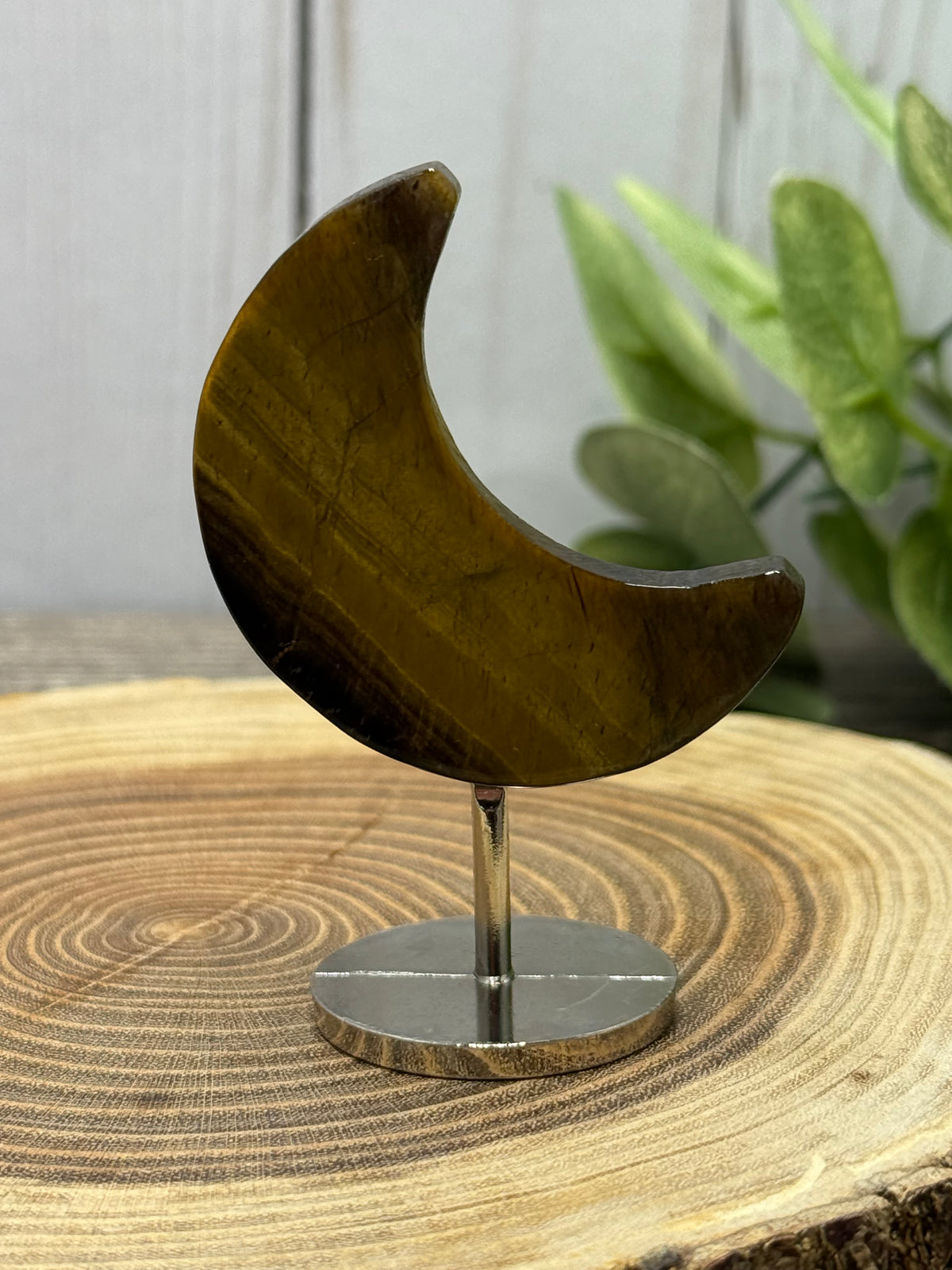 Small Moons on Stands