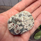 Russian Flower Agate Palm Stones