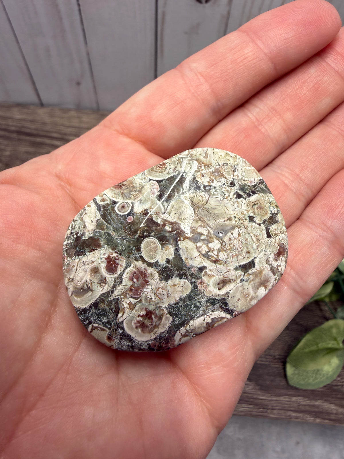 Russian Flower Agate Palm Stones