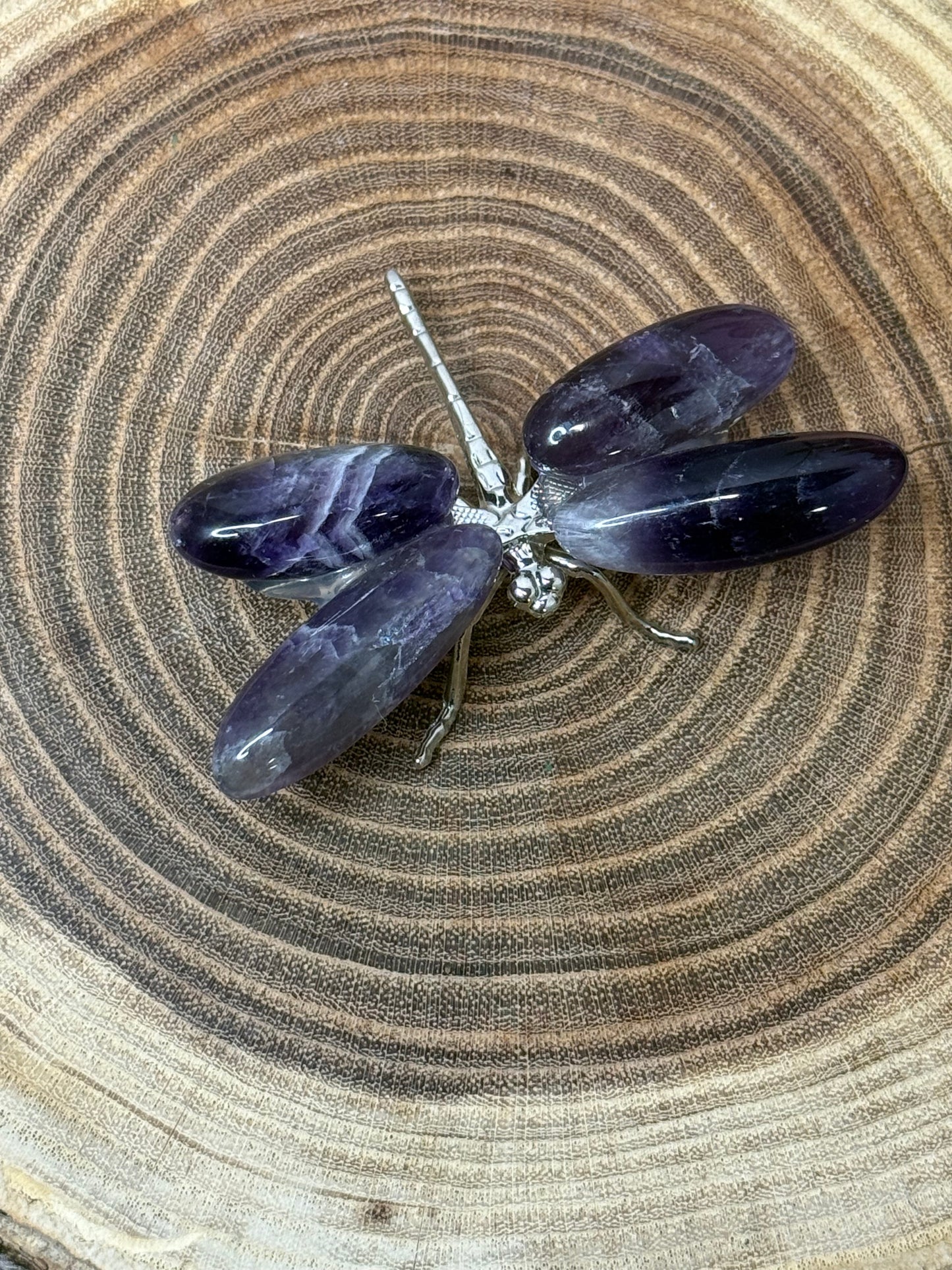 Dragonflies