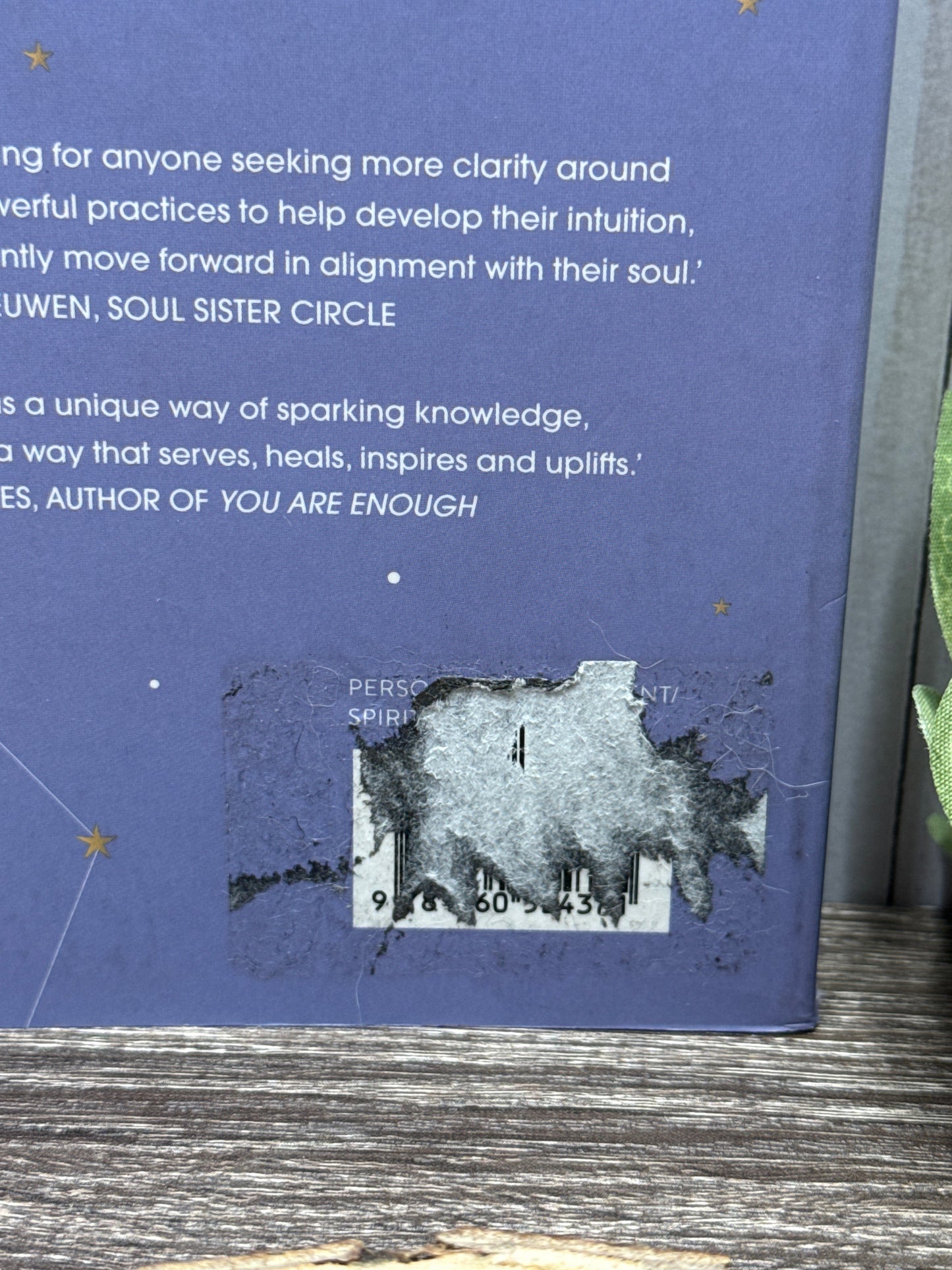 DAMAGED You Already Know: How to Access your intuition & find your life path