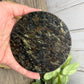 Garnet and Strophiolate Disks