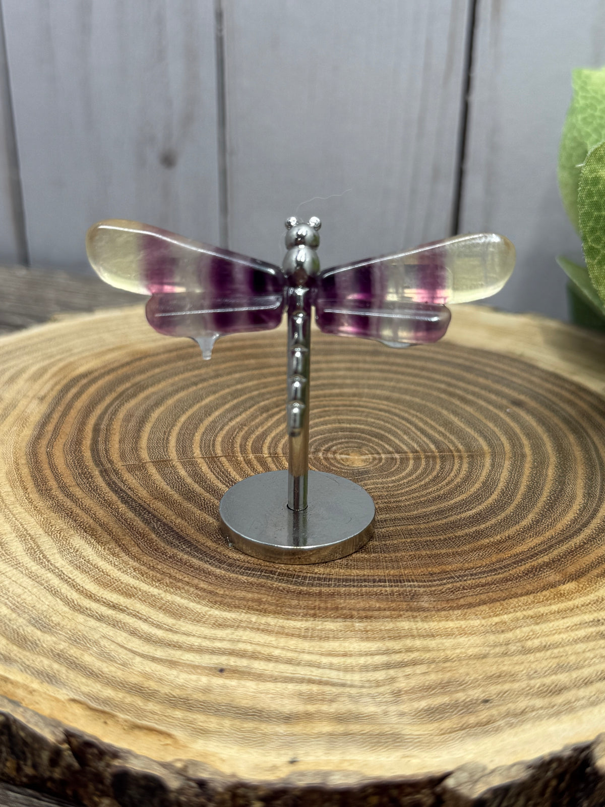 Small Dragonfly Wings on Stand - Fluorite