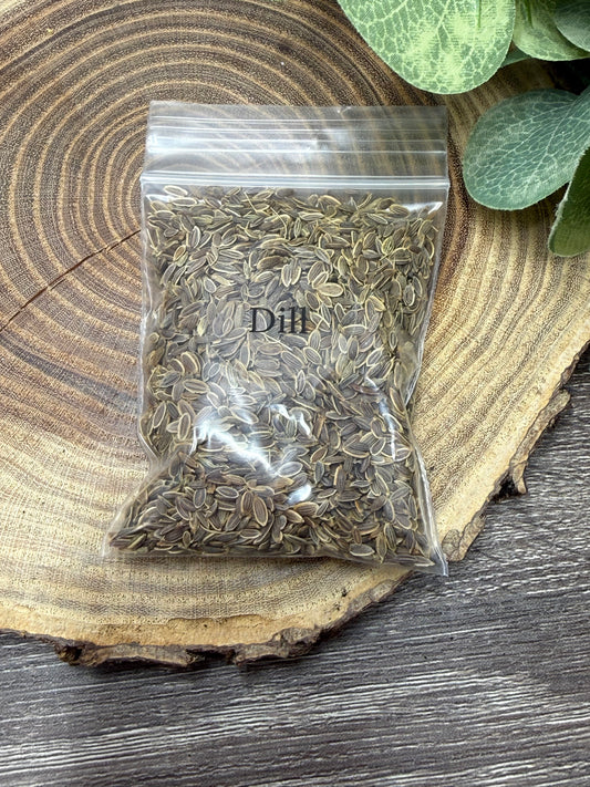 Dill - Magick Herbs (Bagged)