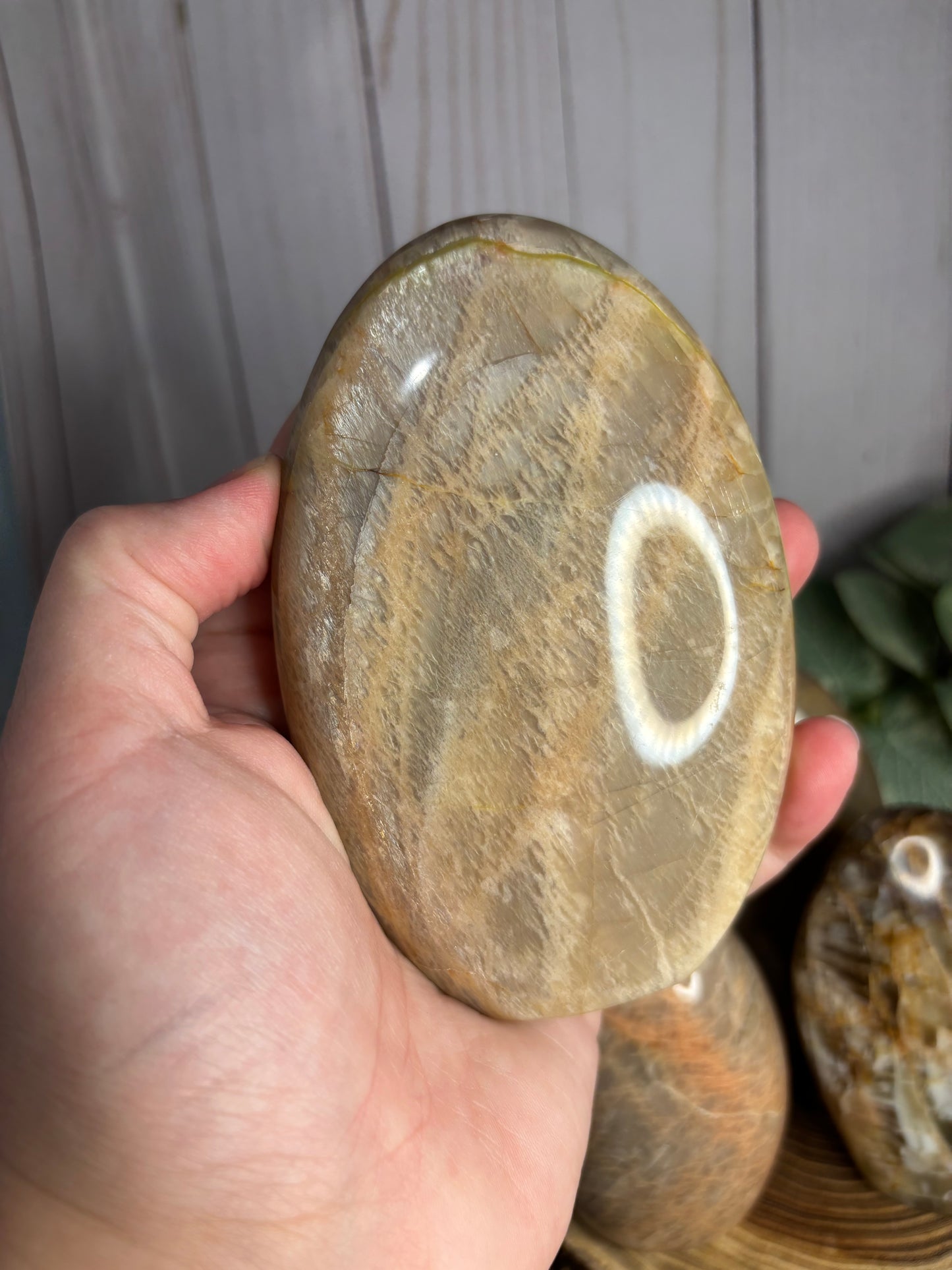 Peach Moonstone - Free Form