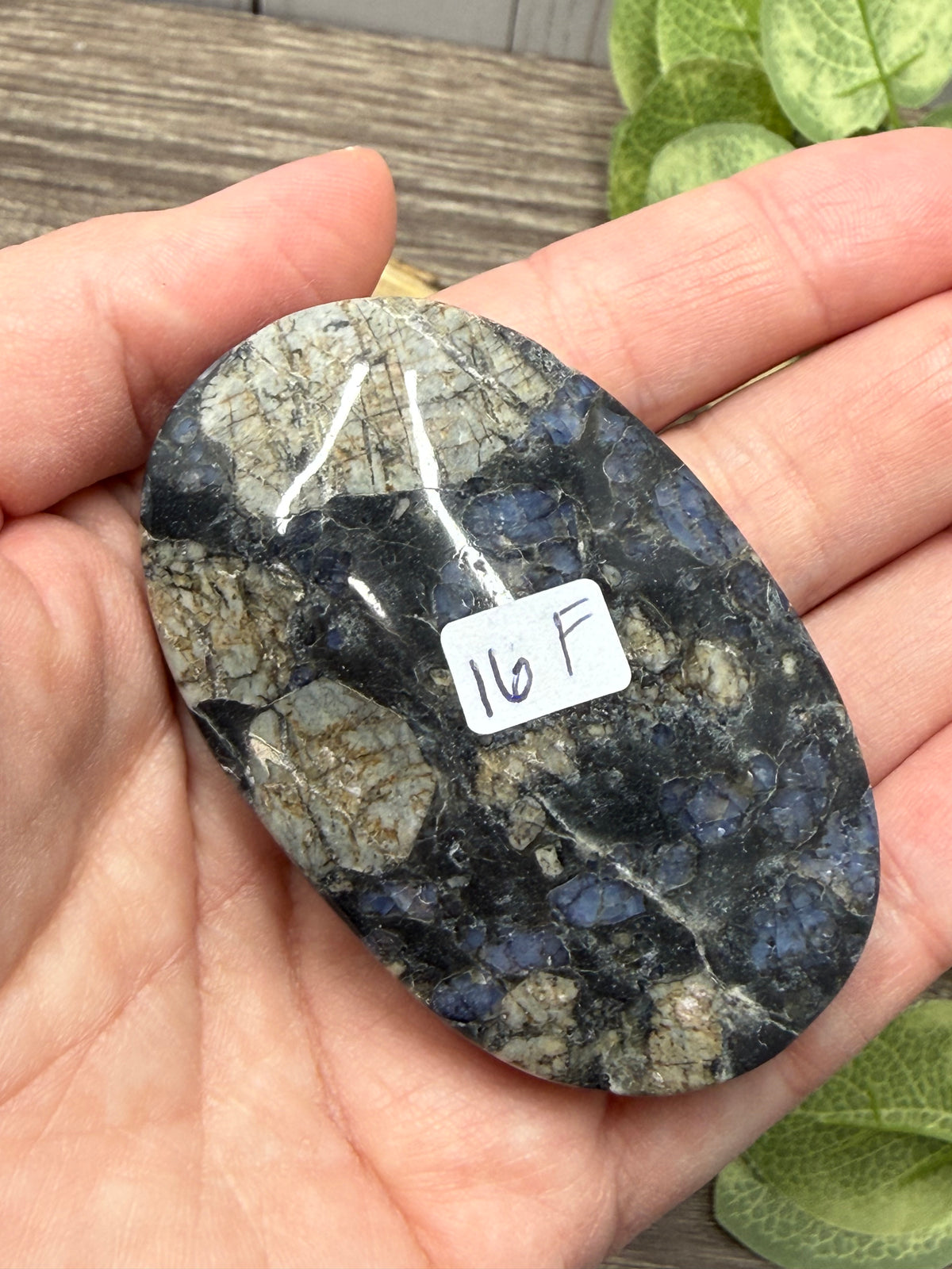Quesera Palm Stones