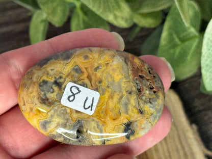 Lace Agate Palm Stones