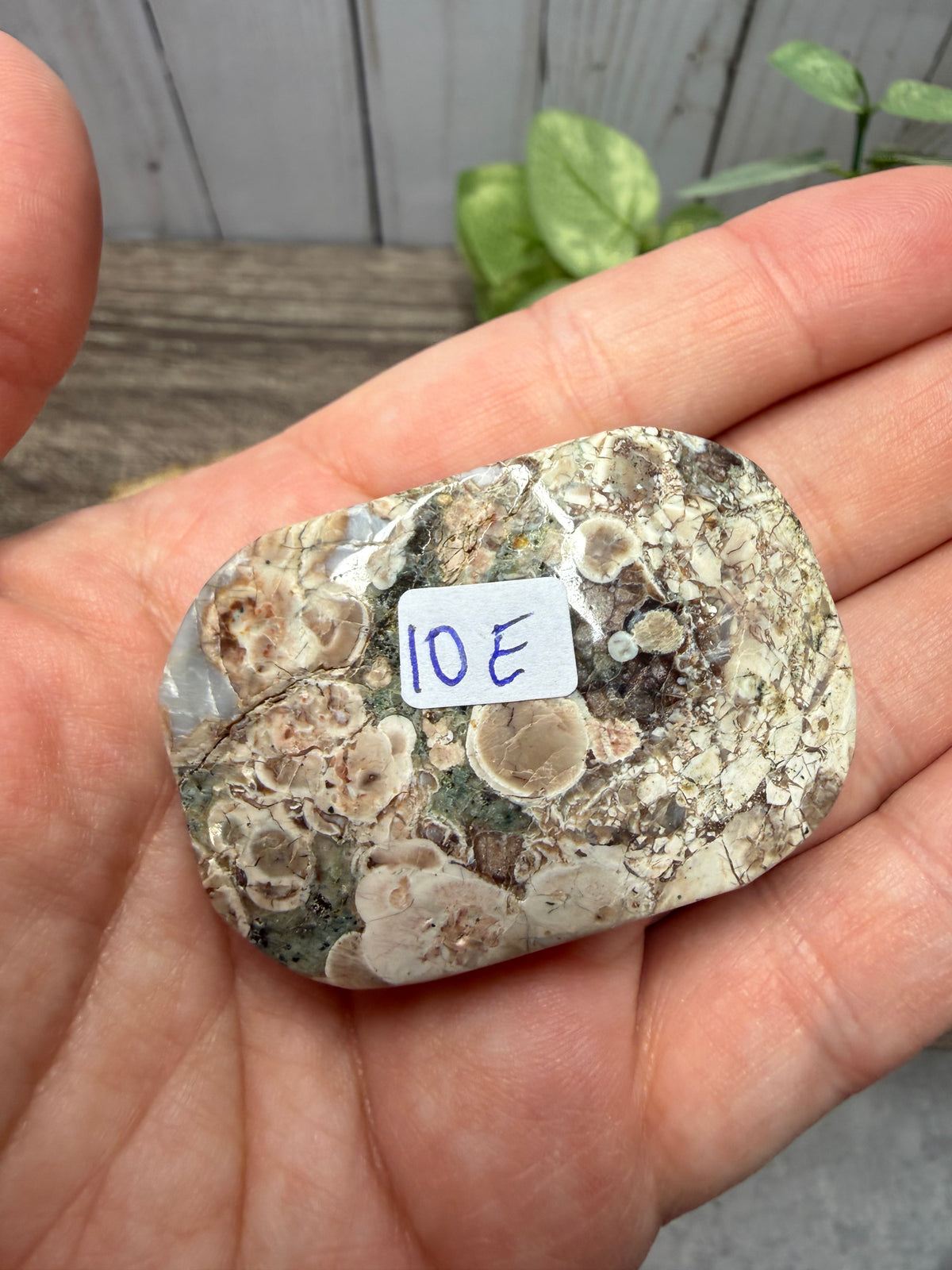 Russian Flower Agate Palm Stones