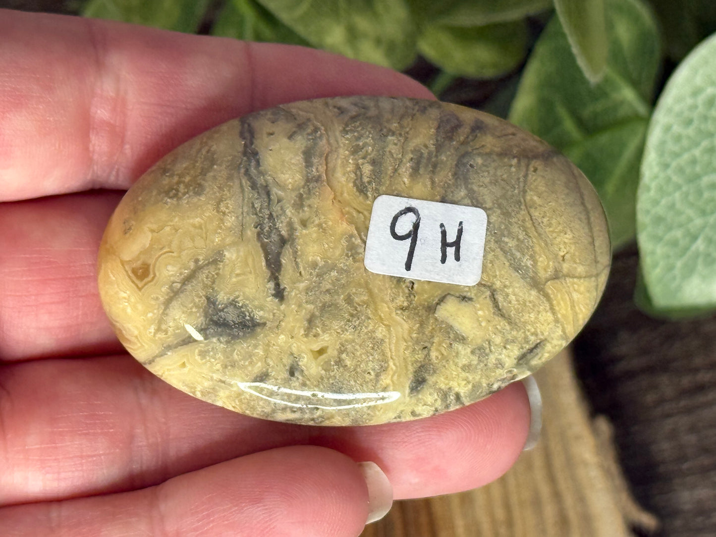 Lace Agate Palm Stones