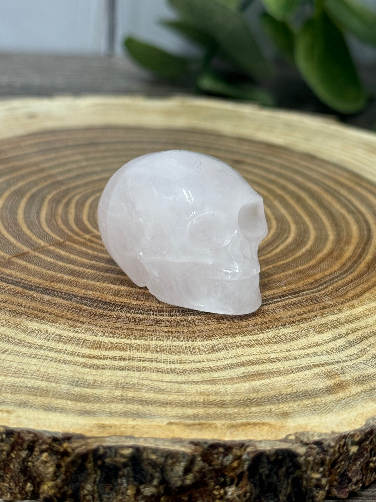 Skull Carvings - small