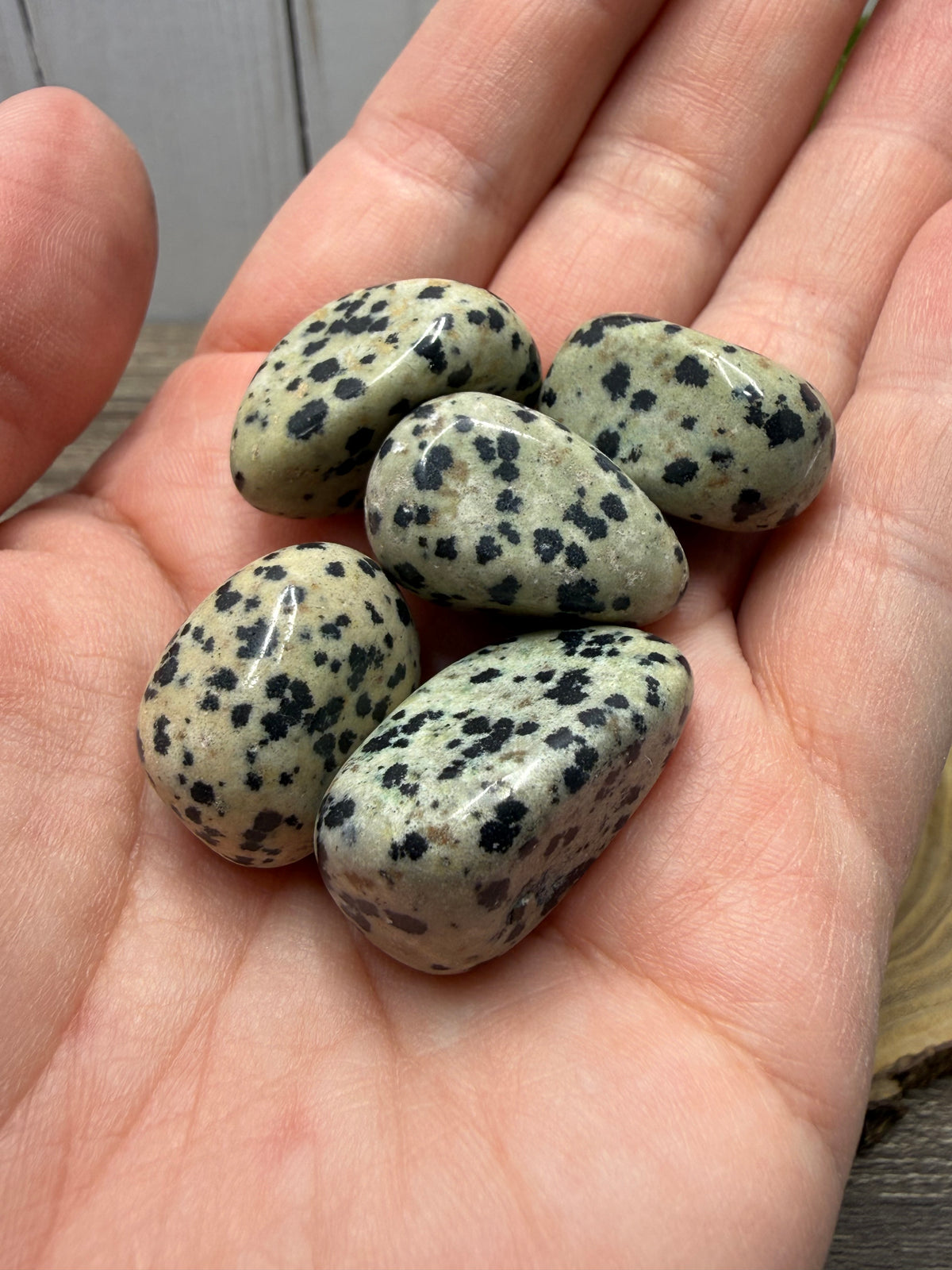 Dalmation Jasper Tumble