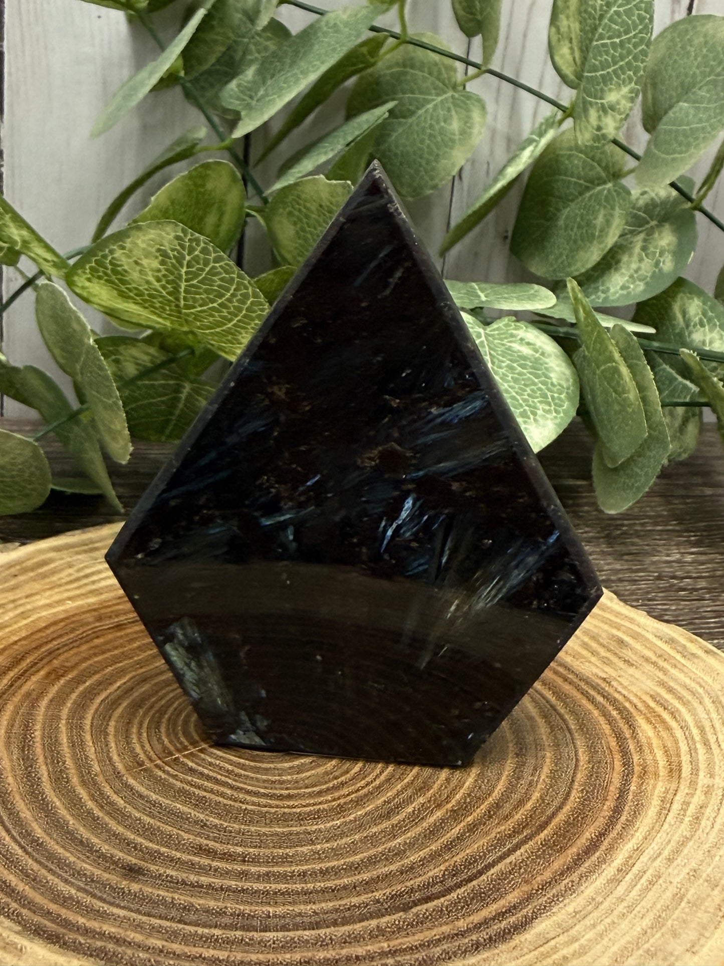 Garnet and Astrophyllite Freeform