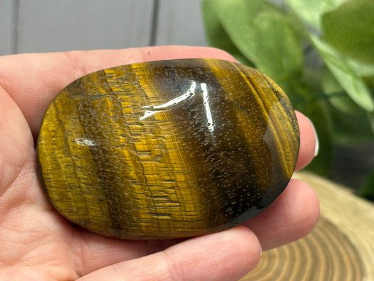Tigers Eye Palm Stones
