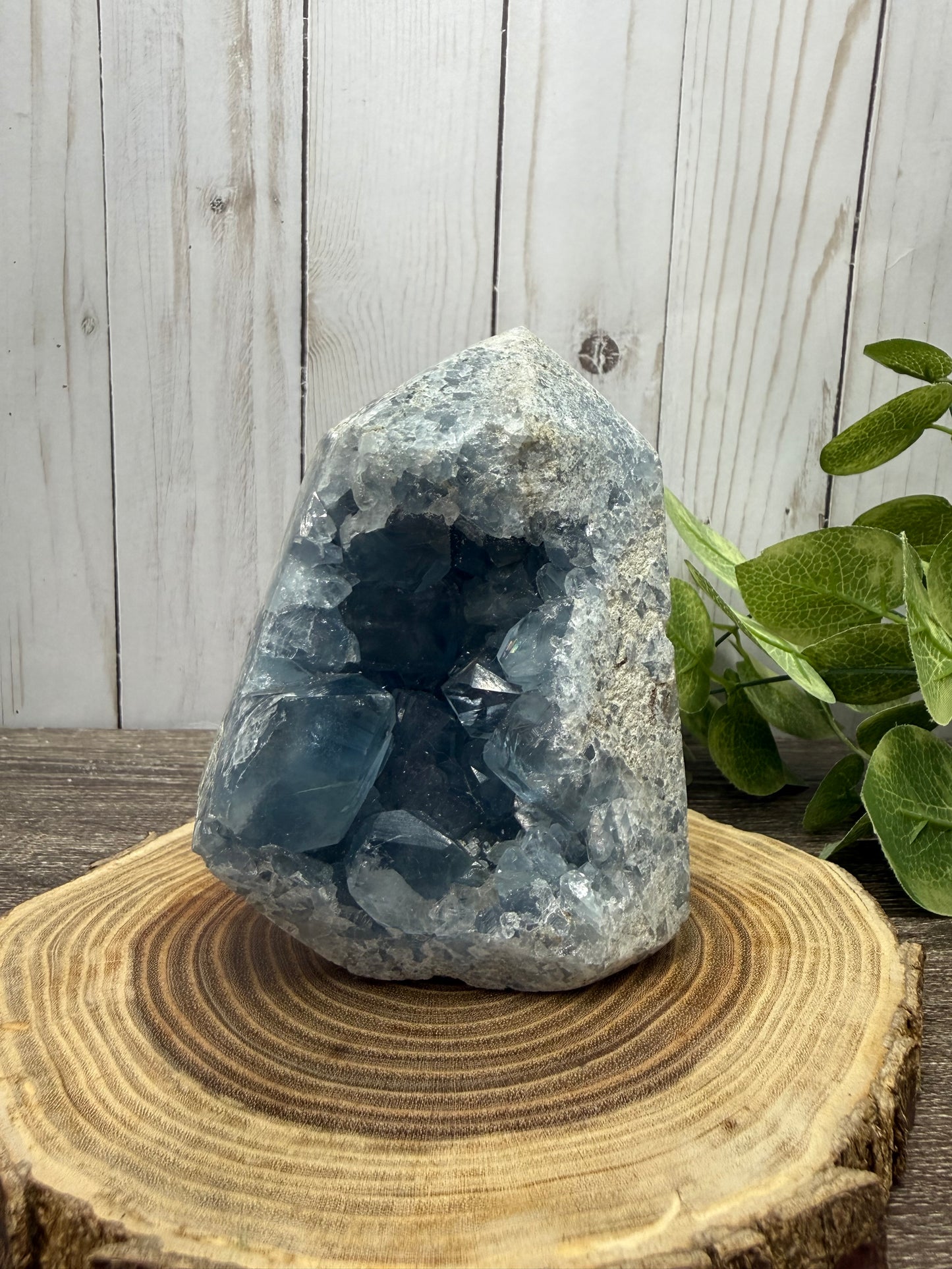 Celestite
