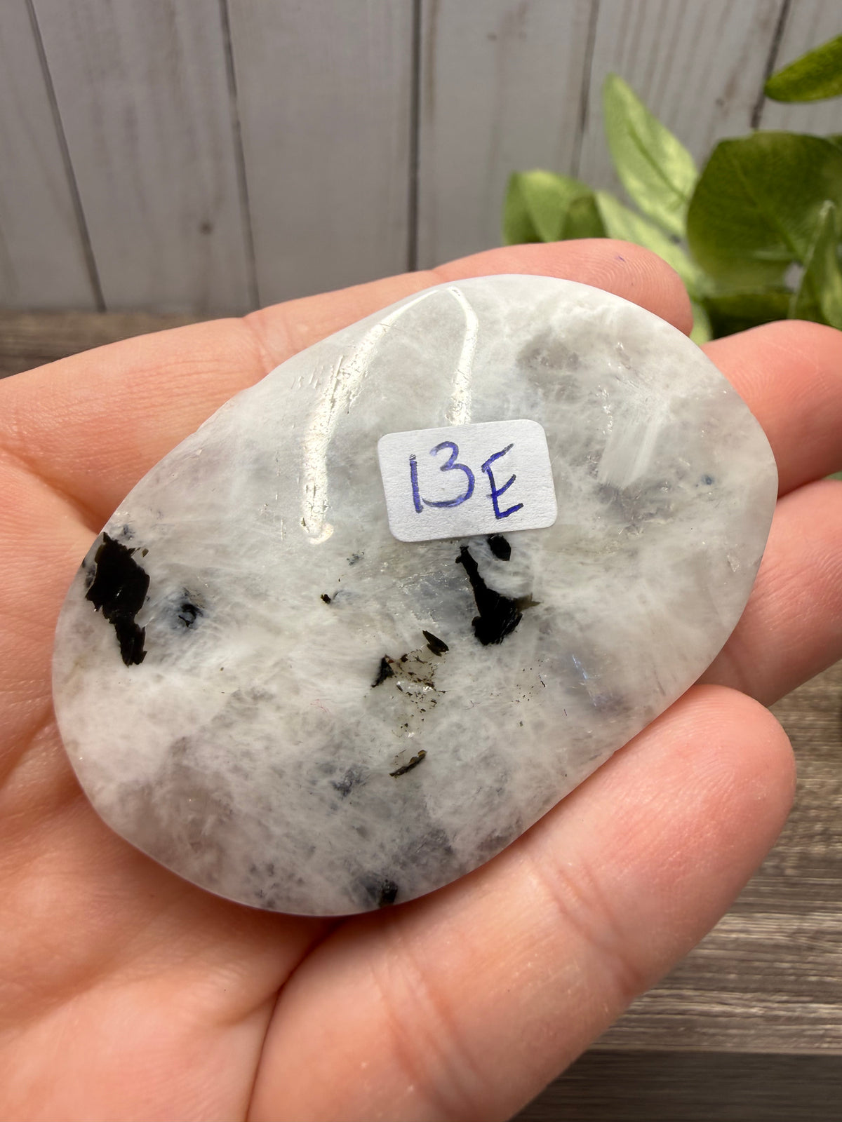 Rainbow Moonstone Palm Stone