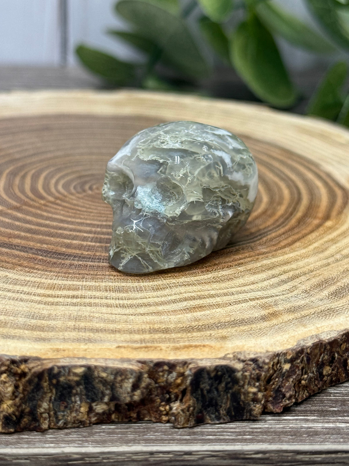 Skull Carvings - small