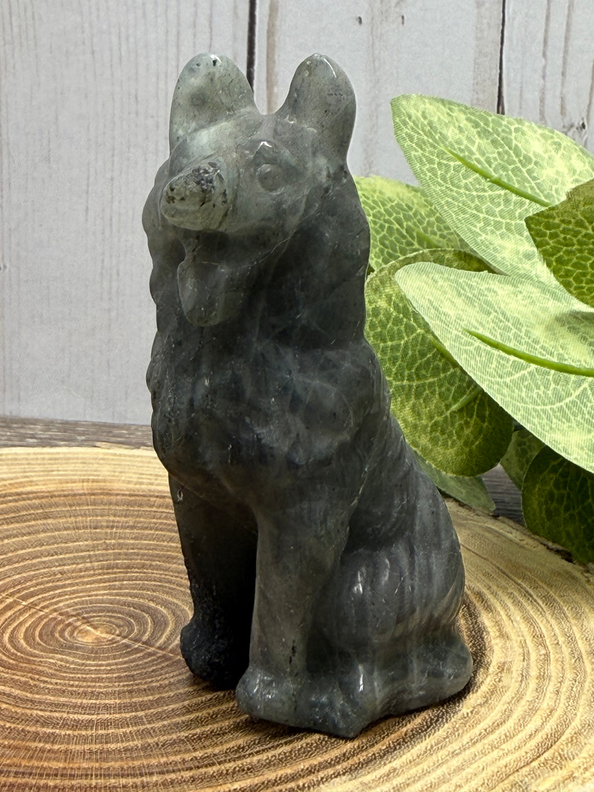 Wolf/Dog Carvings