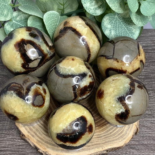 Septarian Spheres